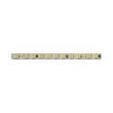 LED strip light LED3141 L50m 5mm 24V 6.0W/m NW 40K Loox5