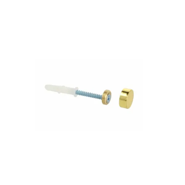 Brass Mirror Caps (4 pcs.) Ø15mm, with locator, wall plug, screw Ø4x40mm, gold