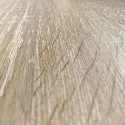 Decorative panel WL OAK TREE Light, 2600x1000x1,1mm, NA