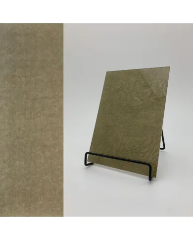 Plokštė dekoratyvinė SG LEGUAN Gold AR+, 2600x1000x2,6mm, NA