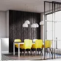 Decorative panel WL Carbonized Wood Nature, 2600x1000x1,4mm, SA