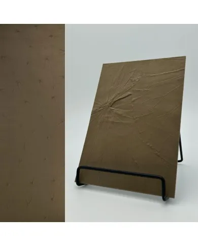 Plokštė dekoratyvinė FL LOTUS VELVET Mocha, 2600x1000x4mm, SA