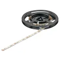 LED strip light, Häfele Loox5 Eco LED 3074 24 V 8 mm 2-pin (monochrome), 9.6 W/m, 30K, 50m