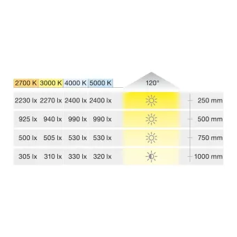 LED strip light, Häfele Loox5 Eco LED 3074 24 V 8 mm 2-pin (monochrome),120 LEDs/m, 9.6 W/m, 50K, 5M