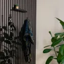Plokštė akustinė AP Anthracite AR, 2800x600x10,5mm, NA