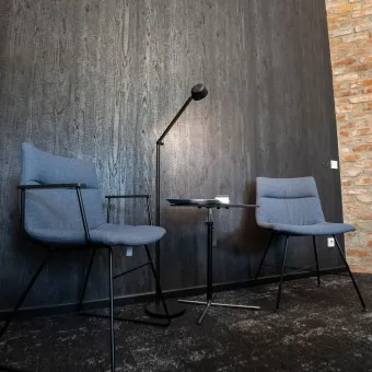 Decorative panel WL Carbonized Wood, 2600x1000x1,1mm, NA